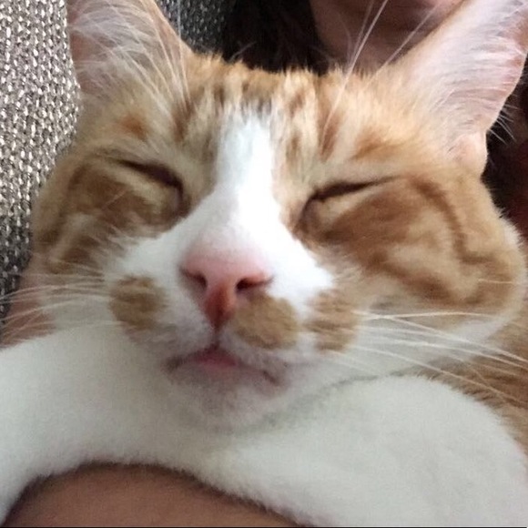 Meet your Posher, Corey - Picture 1 of 1